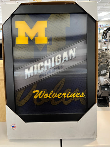 3D Light Up University of Michigan Wolverines Picture