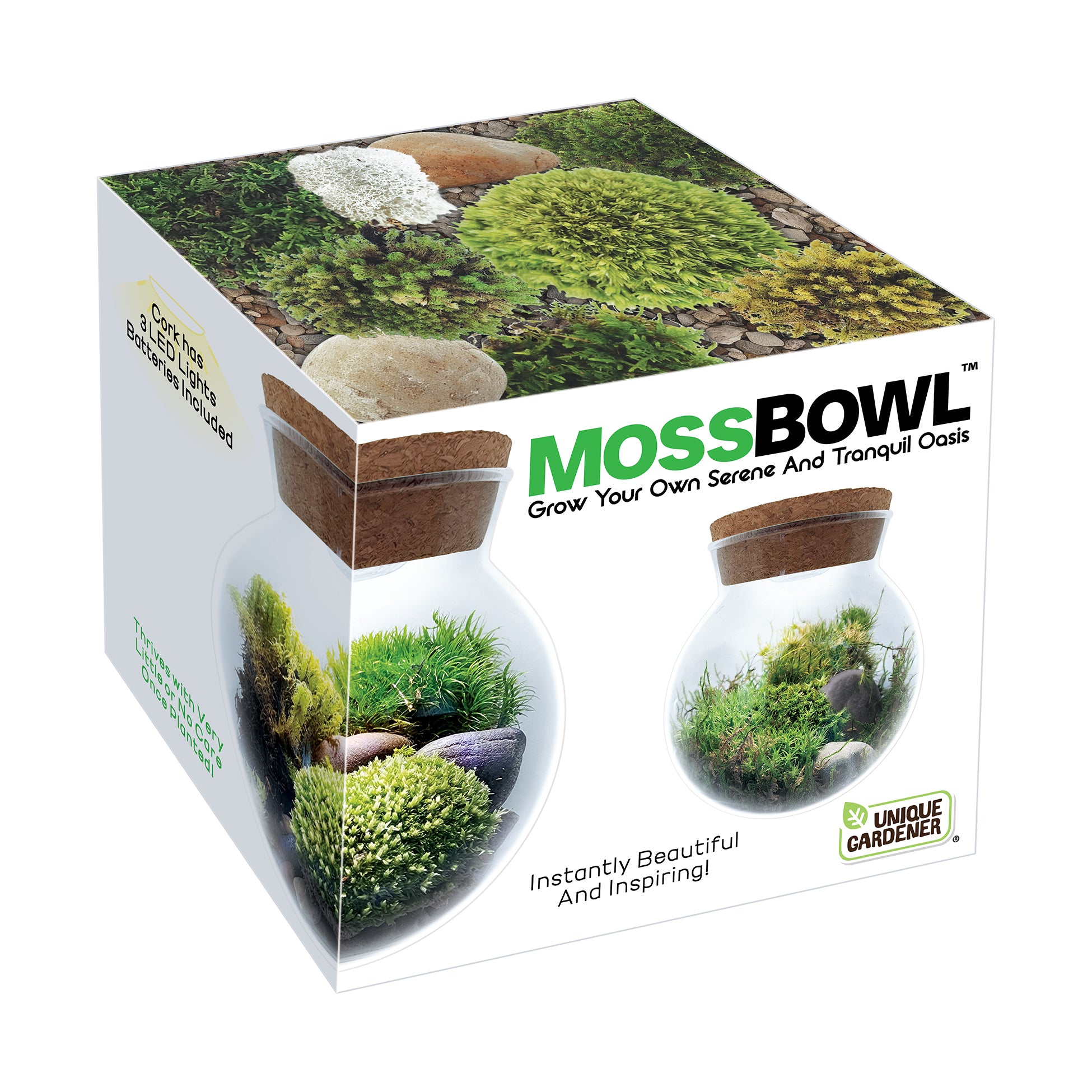 Moss Bowl