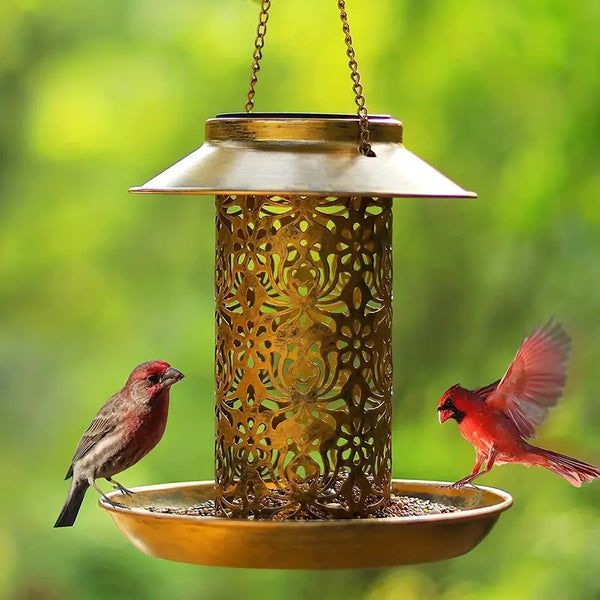 Solar Bird Feeder